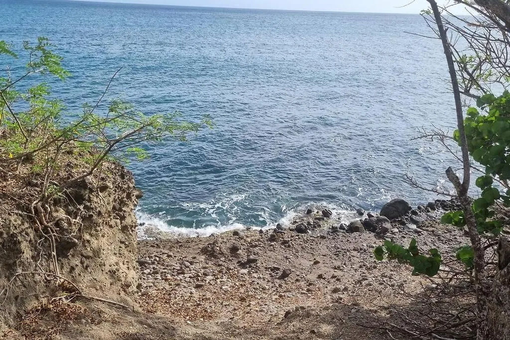 App Premium Tobago - Domaine P&V - Vue Mer Sainte-Luce 0*,
