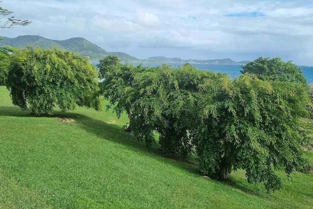 Apartmán App Premium Tobago - Domaine P&V - Vue Mer Sainte-Luce